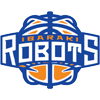 IbarakiRobots